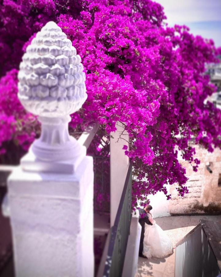 Le Dimore In Piazzetta ماسافرا المظهر الخارجي الصورة