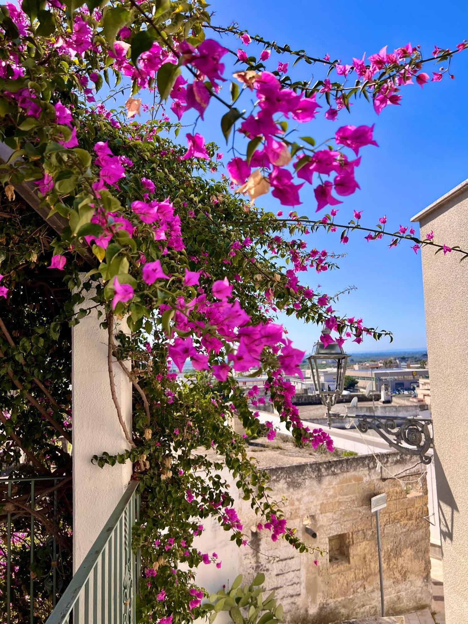 Le Dimore In Piazzetta ماسافرا المظهر الخارجي الصورة